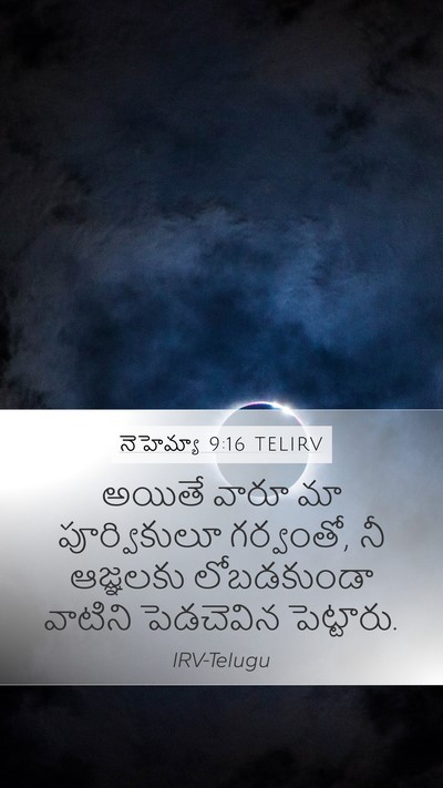 నెహెమ్యా 9:16 TELIRV Bible Verse Image