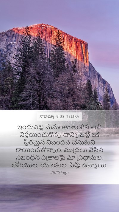 నెహెమ్యా 9:38 TELIRV Bible Verse Image