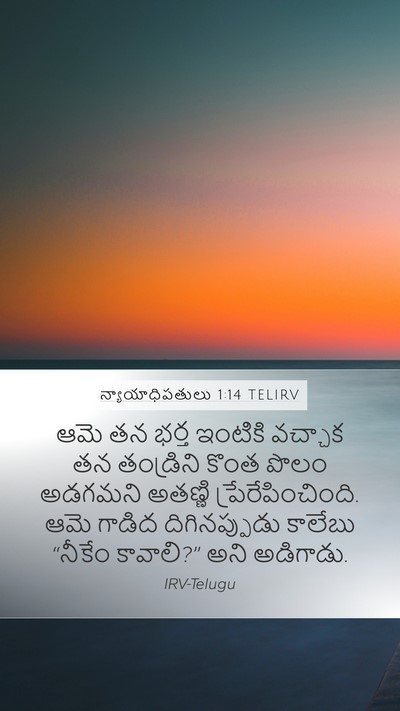 న్యాయాధిపతులు 1:14 TELIRV Bible Verse Image