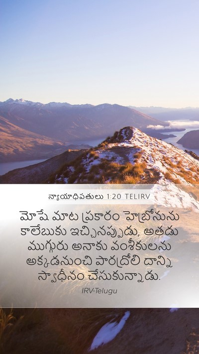 న్యాయాధిపతులు 1:20 TELIRV Bible Verse Image