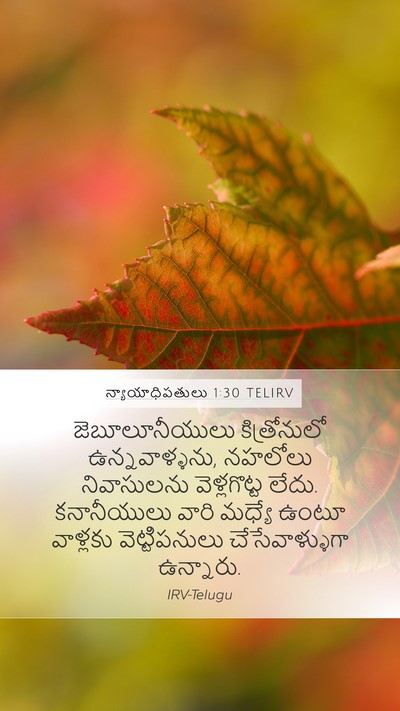 న్యాయాధిపతులు 1:30 TELIRV Bible Verse Image