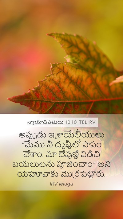 న్యాయాధిపతులు 10:10 TELIRV Bible Verse Image