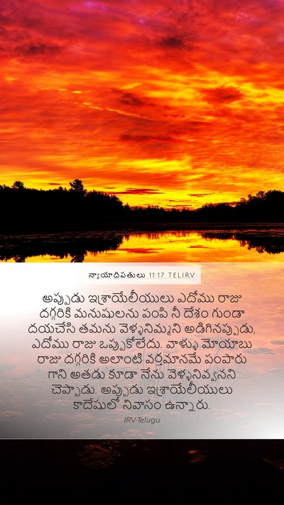 న్యాయాధిపతులు 11:17 TELIRV Bible Verse Image