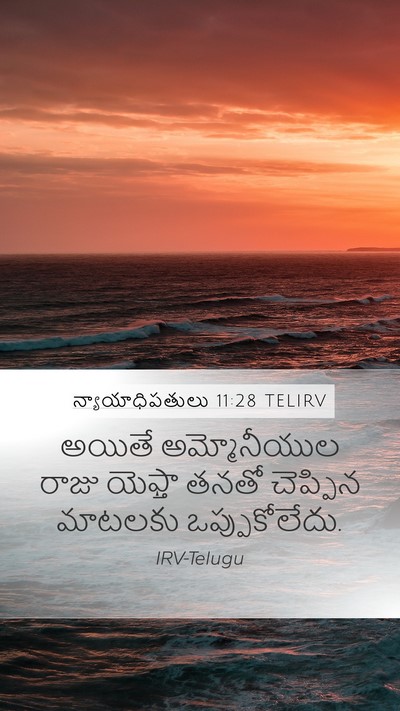 న్యాయాధిపతులు 11:28 TELIRV Mobile Phone Wallpaper - అయితే అమ్మోనీయుల - Mobile Bible Verse Wallpaper