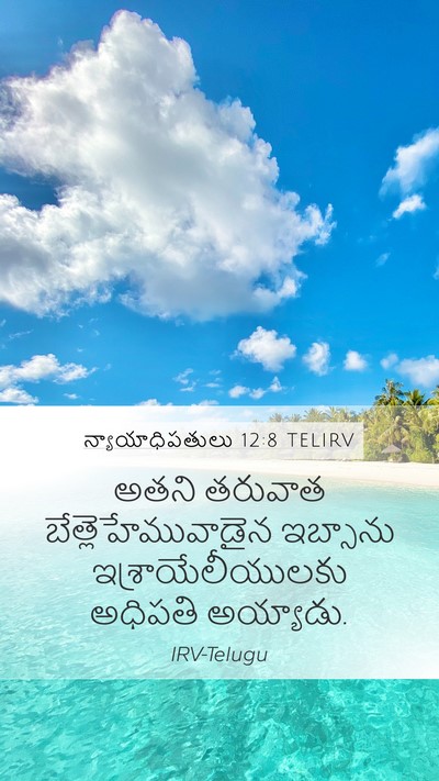 న్యాయాధిపతులు 12:8 TELIRV Mobile Phone Wallpaper - అతని తరువాత - Mobile Bible Verse Wallpaper