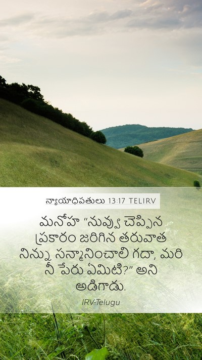 న్యాయాధిపతులు 13:17 TELIRV Bible Verse Image