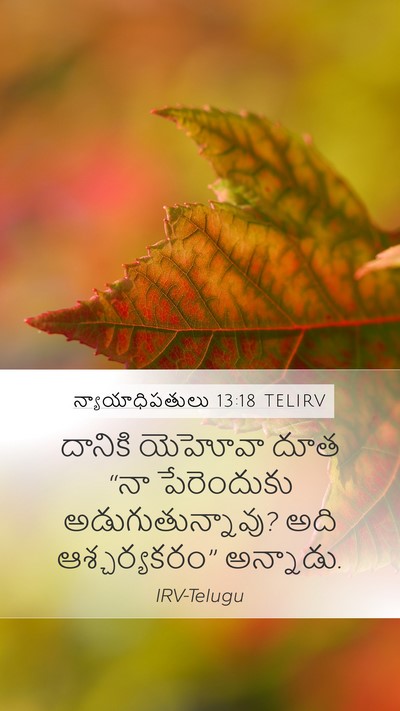 న్యాయాధిపతులు 13:18 TELIRV Bible Verse Image
