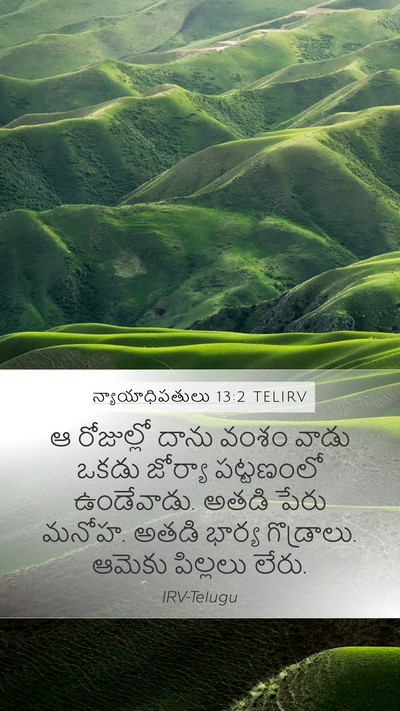 న్యాయాధిపతులు 13:2 TELIRV Bible Verse Image