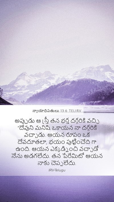 న్యాయాధిపతులు 13:6 TELIRV Bible Verse Image