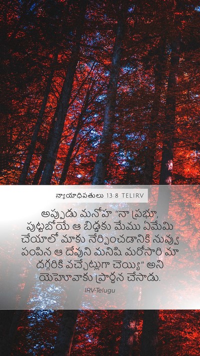 న్యాయాధిపతులు 13:8 TELIRV Bible Verse Image