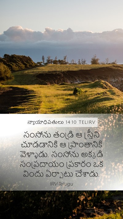 న్యాయాధిపతులు 14:10 TELIRV Mobile Phone Wallpaper - సంసోను తండ్రి ఆ - Mobile Bible Verse Wallpaper