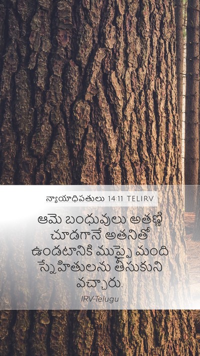 న్యాయాధిపతులు 14:11 TELIRV Bible Verse Image