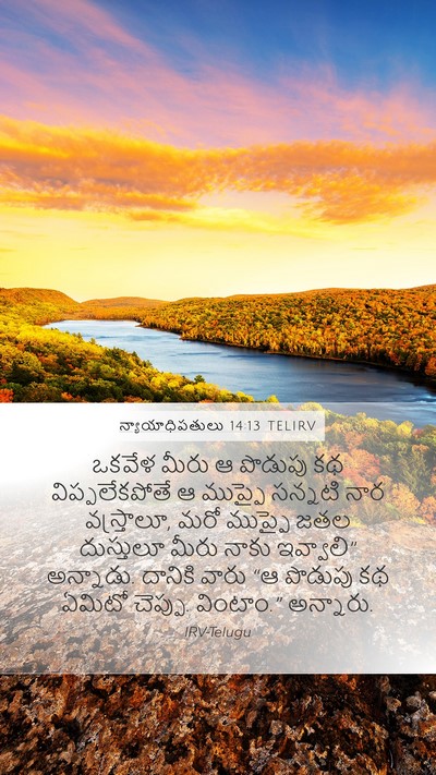 న్యాయాధిపతులు 14:13 TELIRV Mobile Phone Wallpaper - ఒకవేళ మీరు ఆ - Mobile Bible Verse Wallpaper
