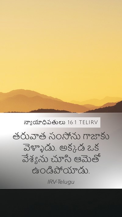 న్యాయాధిపతులు 16:1 TELIRV Bible Verse Image