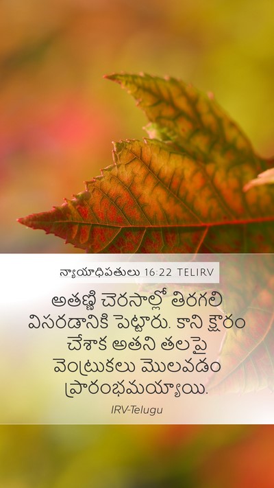 న్యాయాధిపతులు 16:22 TELIRV Bible Verse Image