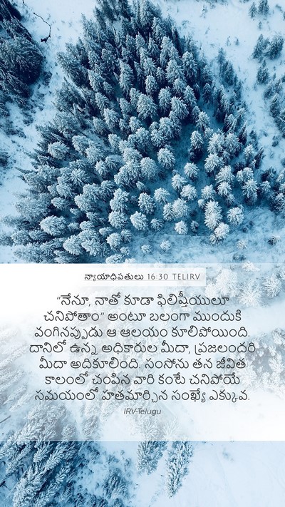 న్యాయాధిపతులు 16:30 TELIRV Bible Verse Image