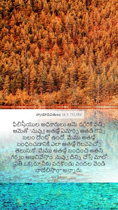న్యాయాధిపతులు 16:5 TELIRV Bible Verse Image