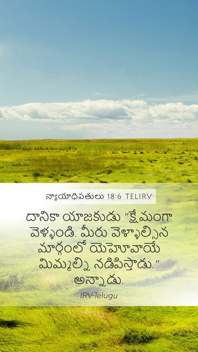 న్యాయాధిపతులు 18:6 TELIRV Bible Verse Image