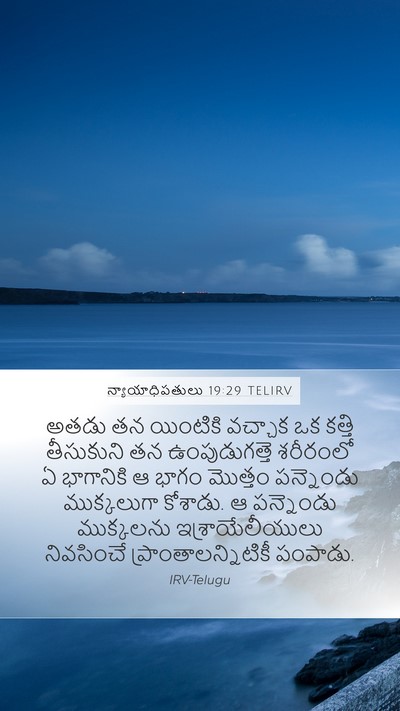 న్యాయాధిపతులు 19:29 TELIRV Bible Verse Image