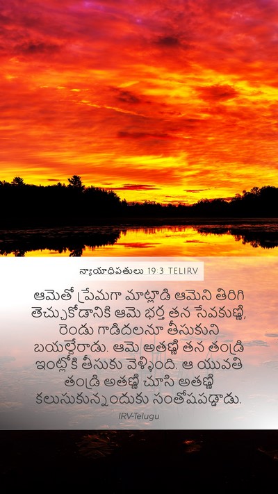న్యాయాధిపతులు 19:3 TELIRV Bible Verse Image