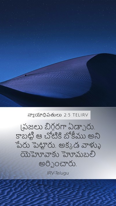 న్యాయాధిపతులు 2:5 TELIRV Bible Verse Image