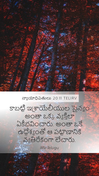 న్యాయాధిపతులు 20:11 TELIRV Bible Verse Image