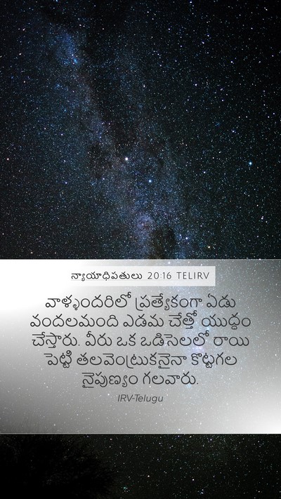 న్యాయాధిపతులు 20:16 TELIRV Bible Verse Image