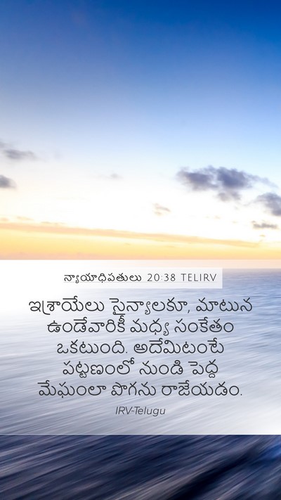 న్యాయాధిపతులు 20:38 TELIRV Bible Verse Image