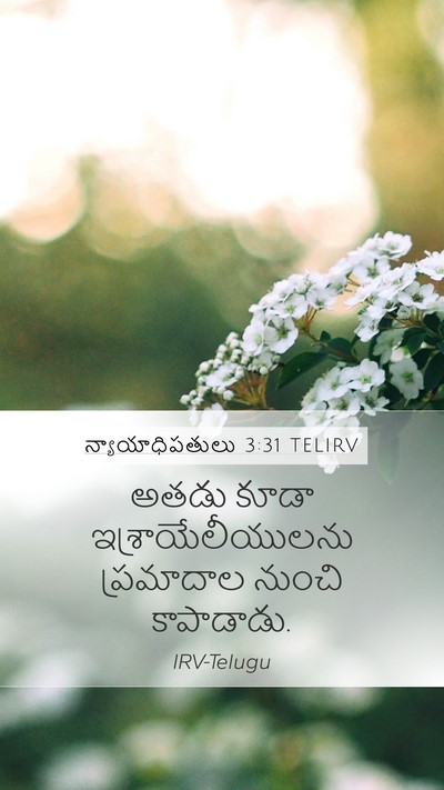 న్యాయాధిపతులు 3:31 TELIRV Bible Verse Image