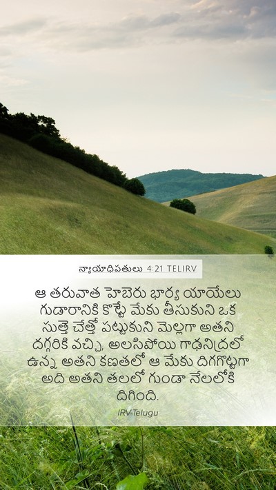 న్యాయాధిపతులు 4:21 TELIRV Bible Verse Image