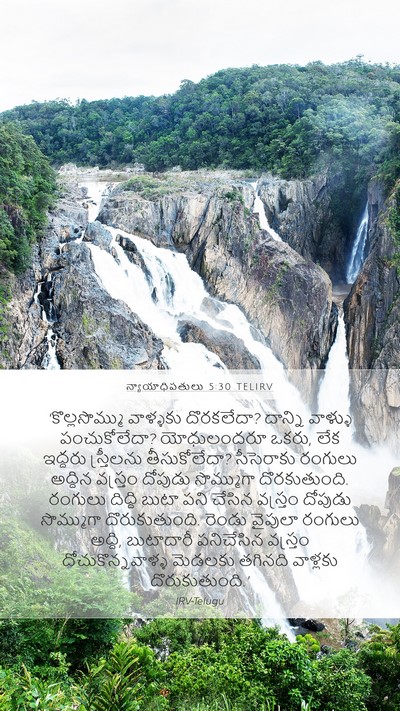 న్యాయాధిపతులు 5:30 TELIRV Mobile Phone Wallpaper - ‘కొల్లసొమ్ము - Mobile Bible Verse Wallpaper