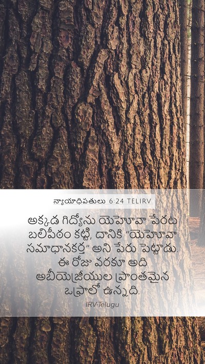 న్యాయాధిపతులు 6:24 TELIRV Bible Verse Image