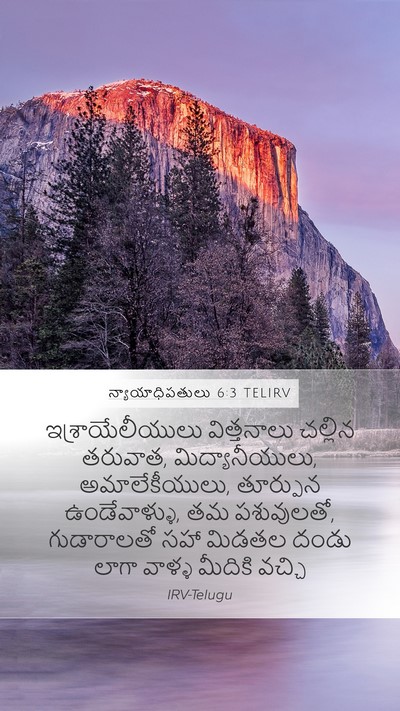 న్యాయాధిపతులు 6:3 TELIRV Bible Verse Image