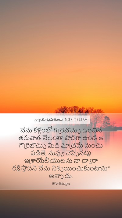 న్యాయాధిపతులు 6:37 TELIRV Bible Verse Image