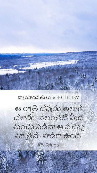 న్యాయాధిపతులు 6:40 TELIRV Mobile Phone Wallpaper - ఆ రాత్రి దేవుడు - Mobile Bible Verse Wallpaper