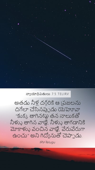 న్యాయాధిపతులు 7:5 TELIRV Bible Verse Image
