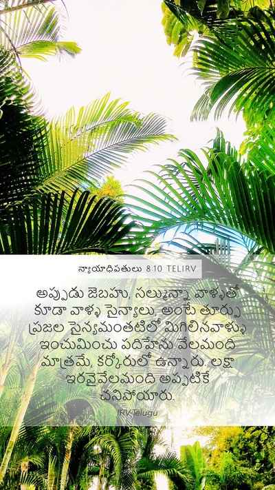 న్యాయాధిపతులు 8:10 TELIRV Bible Verse Image