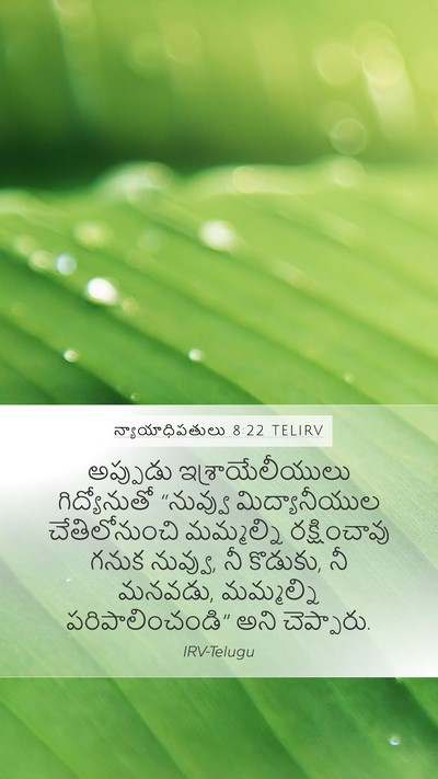 న్యాయాధిపతులు 8:22 TELIRV Bible Verse Image