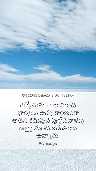 న్యాయాధిపతులు 8:30 TELIRV Bible Verse Image