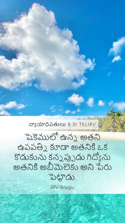 న్యాయాధిపతులు 8:31 TELIRV Mobile Phone Wallpaper - షెకెములో ఉన్న - Mobile Bible Verse Wallpaper