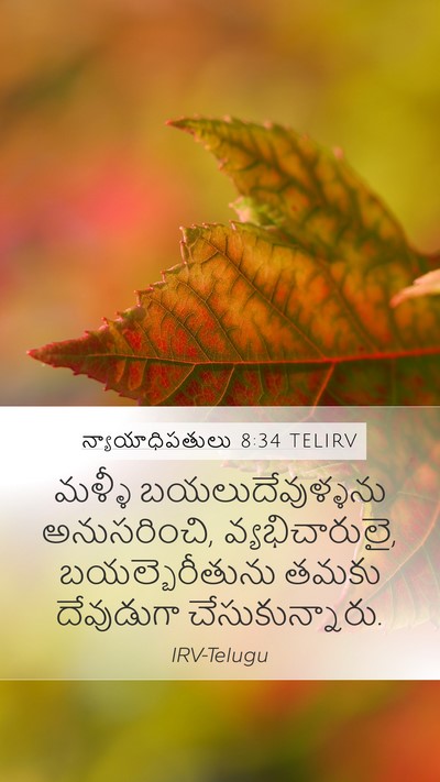 న్యాయాధిపతులు 8:34 TELIRV Bible Verse Image