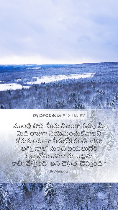 న్యాయాధిపతులు 9:15 TELIRV Bible Verse Image