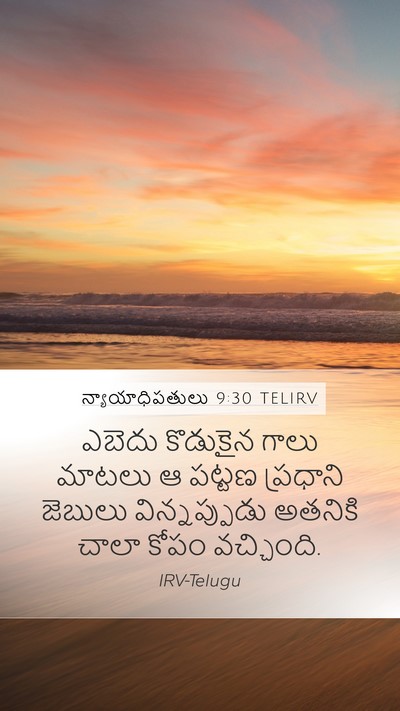 న్యాయాధిపతులు 9:30 TELIRV Bible Verse Image