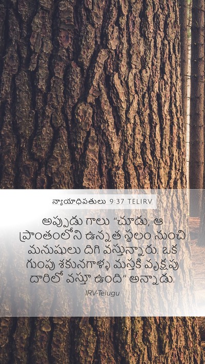 న్యాయాధిపతులు 9:37 TELIRV Mobile Phone Wallpaper - అప్పుడు గాలు - Mobile Bible Verse Wallpaper