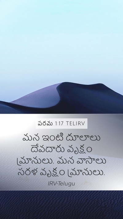 పరమ 1:17 TELIRV Mobile Phone Wallpaper - మన ఇంటి దూలాలు - Mobile Bible Verse Wallpaper
