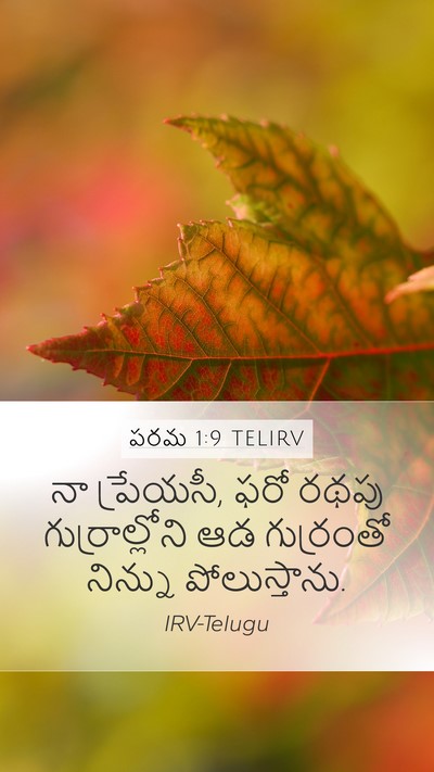 పరమ 1:9 TELIRV Bible Verse Image