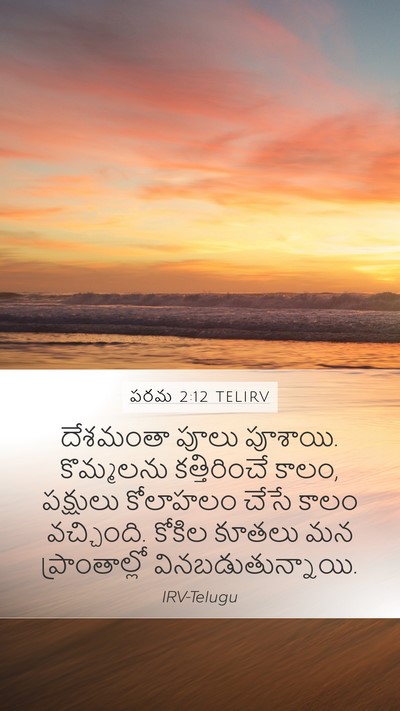 పరమ 2:12 TELIRV Bible Verse Image