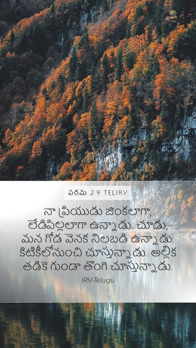 పరమ 2:9 TELIRV Bible Verse Image