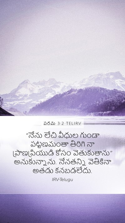 పరమ 3:2 TELIRV Mobile Phone Wallpaper - “నేను లేచి వీధుల - Mobile Bible Verse Wallpaper