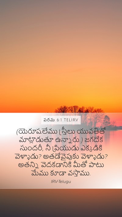 పరమ 6:1 TELIRV Bible Verse Image